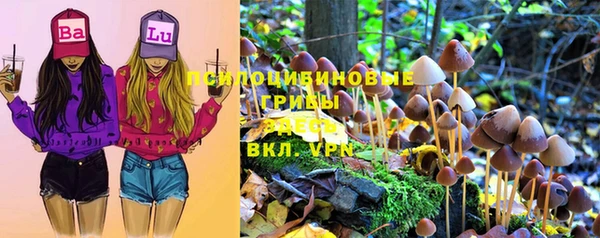а пвп мука Протвино