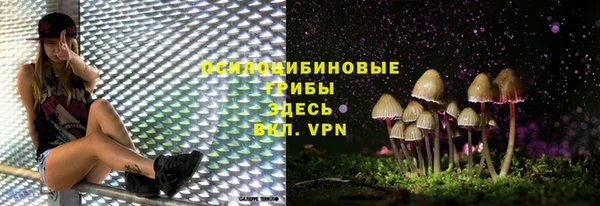 ПСИЛОЦИБИНОВЫЕ ГРИБЫ Абдулино