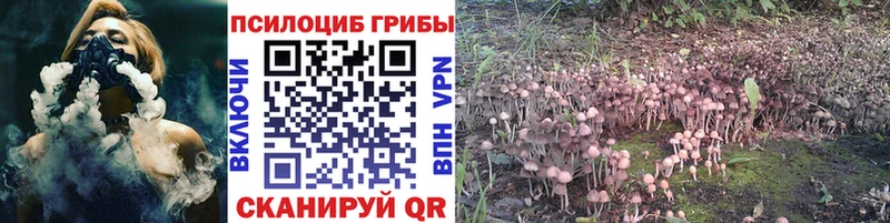 Галлюциногенные грибы MAGIC MUSHROOMS  купить   Кораблино 